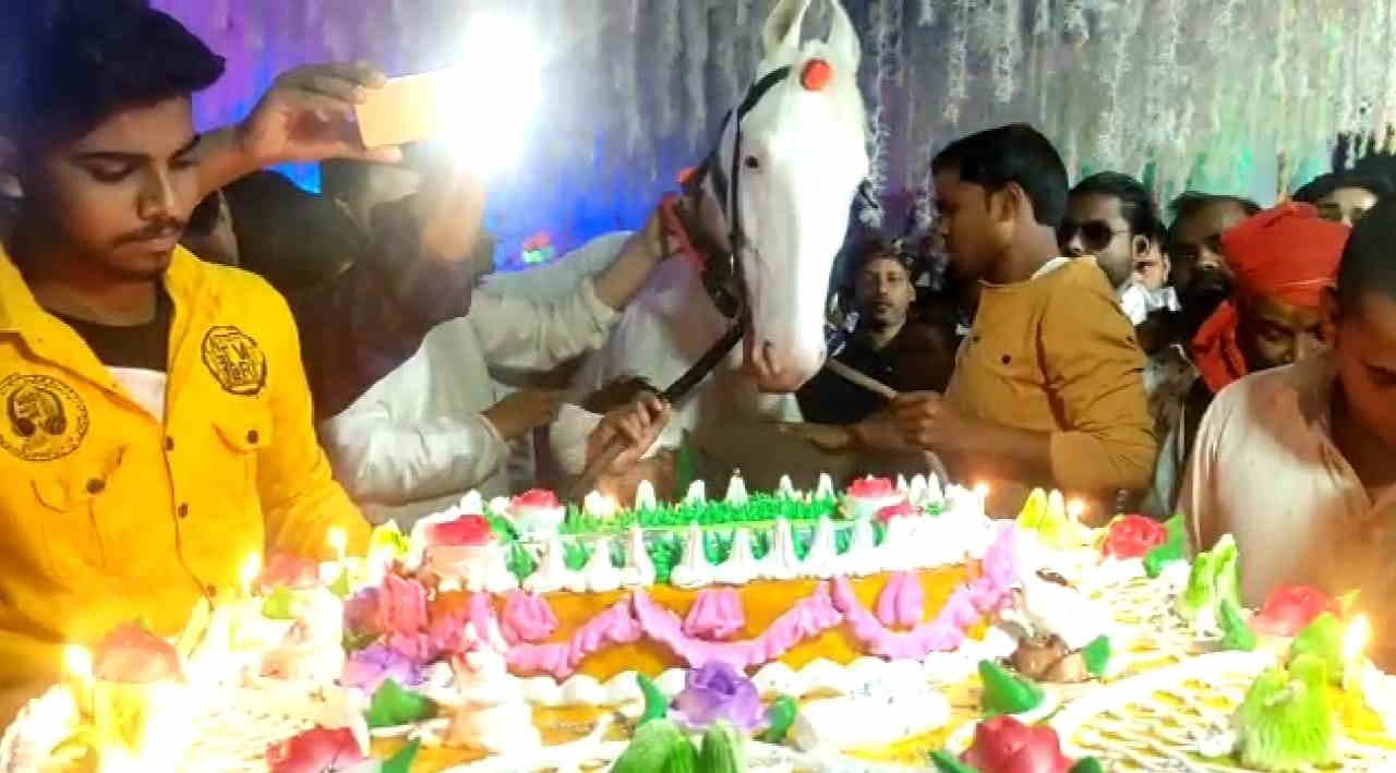 बिहार के सहरसा में घोड़े का मना जन्मदिन, मालिक ने 50 पाउंड का काटा केक, दी पार्टी