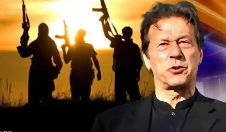 टीटीपी का ‘तालिबान प्रेम’ बन रहा पाकिस्तान के लिए खतरा, इमरान खान की उड़ रही नीदें