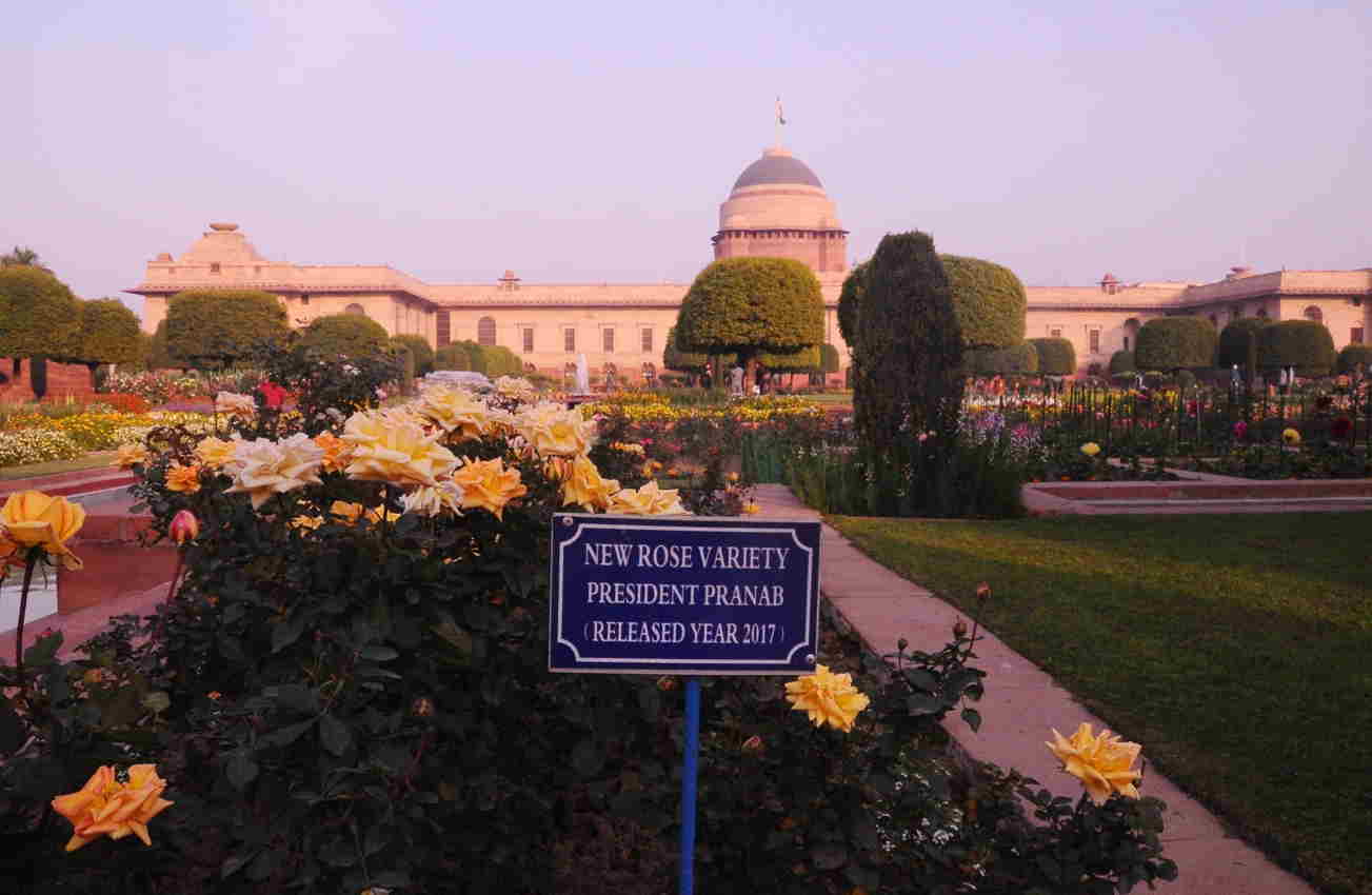 Rashtrapati Bhavan: आज से खुल रहा मुगल गार्डेन, जानिए समय और सोशल डिस्टेंसिंग के नियम