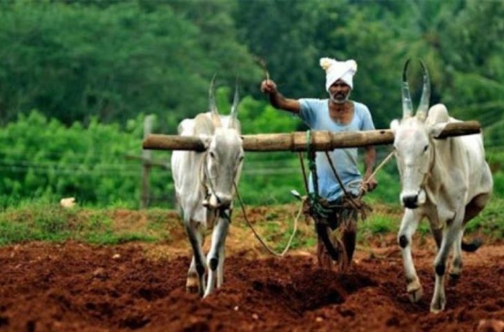 PM Kisan Samman Nidhi Yojana: मोदी सरकार इस दिन किसानों के खाते में डालेगी 2000 रुपये, फटाफट चेक करें लिस्ट में अपना नाम