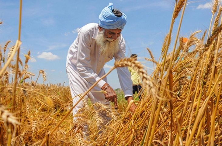 PM Kisan Samman Nidhi scheme: यहां देखिए कब आएगी किसानों के खाते में पीएम किसान सम्मान निधि की 8वीं किस्त