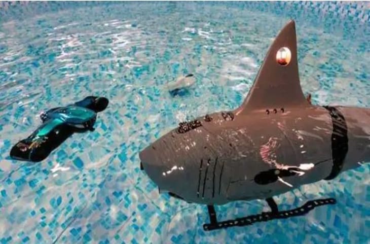 चीन ने QUARD पर दबाव बनाने के लिए उतारा Shark Drone, अमेरिकी शार्क हंटर Barracuda के आगे Xi Jinping की निकली हवा