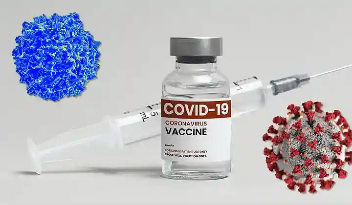 इंसानों के बाद अब जानवरों को भी लगायी जाएगी कोरोना वैक्सीन, 23 कुत्तों पर ट्रायल सफल