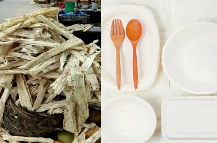 गन्ने की खोई बनी Plastic का लाजवाब विकल्प, कटोरी-प्लेट ही नहीं चम्‍मच और गिलास भी…!