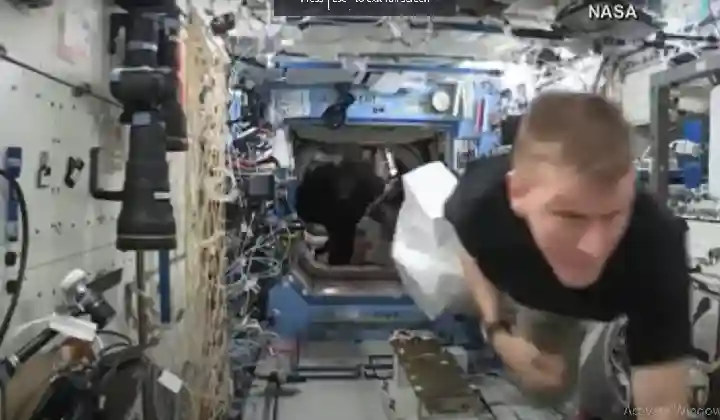 इंटरनेशनल स्पेस स्टेशन में जब घुस गया गुरिल्ला! जान बचाने के लिए भागे अंतरिक्ष यात्री, देखें Video