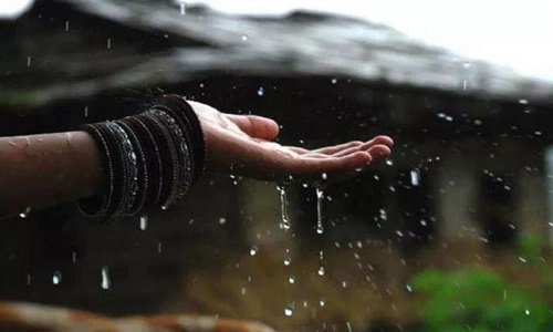 Vastu Tips: बिजनेस में घाटा हो या पति-पत्नी के बीच कलह, बारिश के पानी के इन उपायों से लाएं जीवन में खुशी