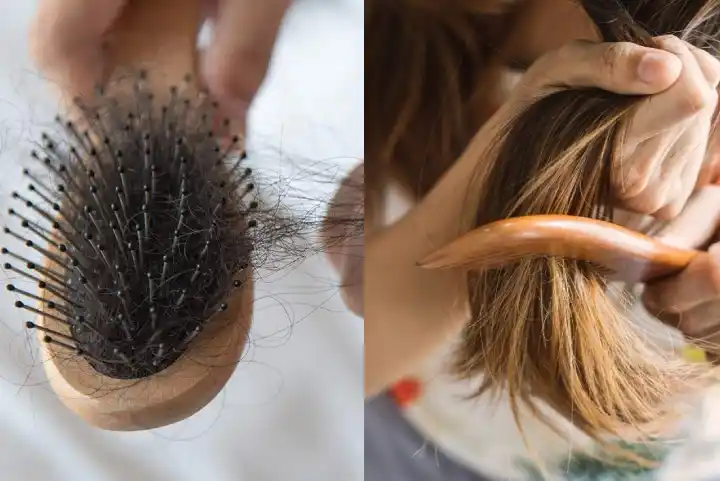 Hair Growth Tips: सिर पर दोबारा बाल उगा देंगी ये 5 चीजें, बस जान लीजिए Use  करने का सही तरीका - Indianarrative