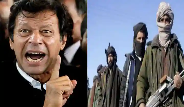 Imran Khan के सीने में धधक रहा दुश्मनी का ‘अंगार’, गद्दार Taliban के लिए बुन रहा काटों भरा जाल, देखें रिपोर्ट