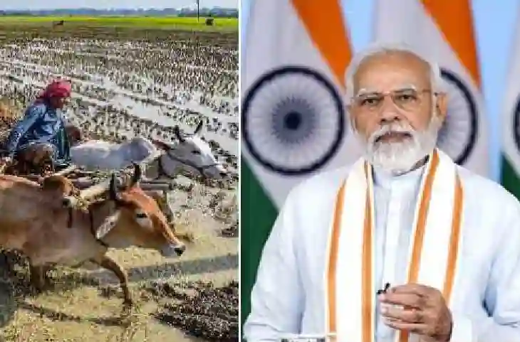 Modi सरकार की पॉलिसी रंग लाई, SBI ने कहा किसानों की आमदनी हुई दोगुनी, देखें कैसे और कहां मिला फायदा!