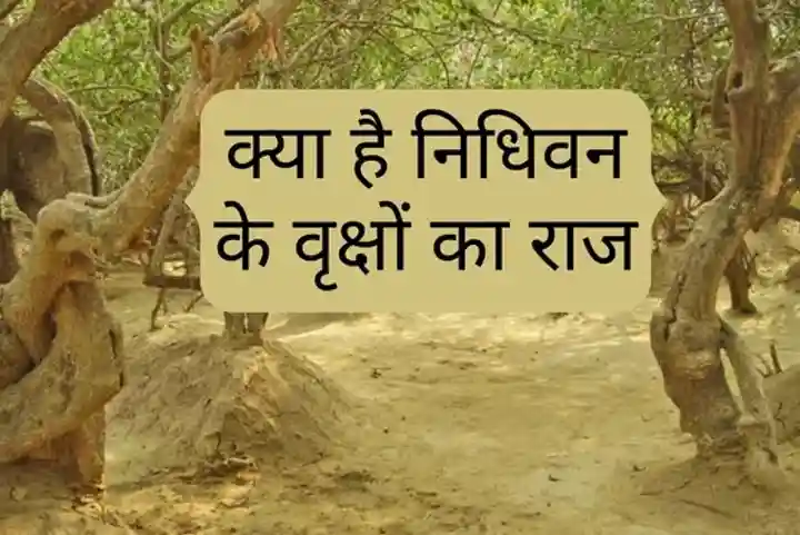 Nidhivan Facts: बेहद रहस्यमयी है वृंदावन की ये जगह, आज भी श्रीकृष्ण करते हैं गोपियों संग रास लीला