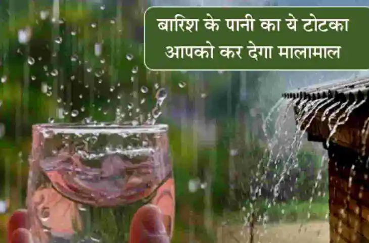 Rain Water: बारिश का पानी कैसे दिलाएगा कर्ज छुटकारा, बस एक बार कर लें ये उपाय