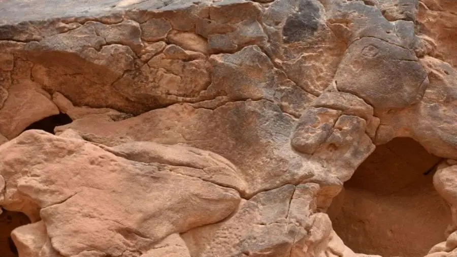 सऊदी अरब में मिली दुनिया के सबसे पुरानी नक्काशी, पत्थरों पर बने हैं 8000 साल पुरानी 21 ऊंट की कलाकृति