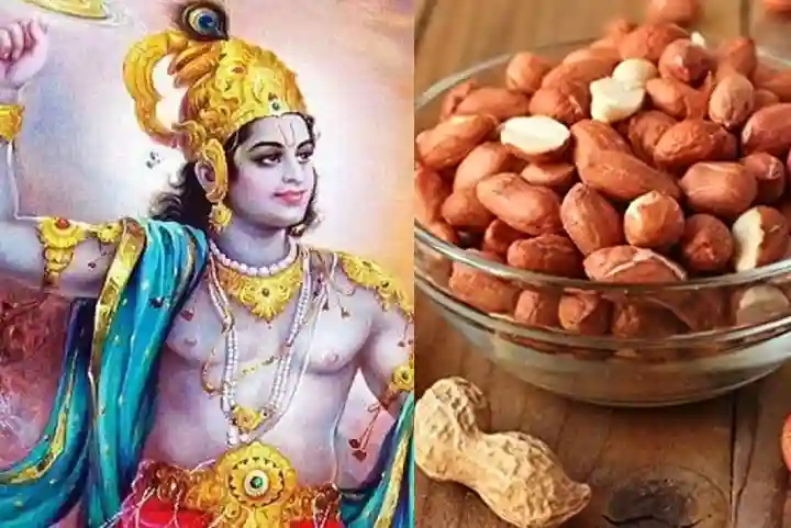 Mahabharat: तो इस खास वजह से महाभारत युद्ध के दौरान रोजाना मूंगफली खाते थे भगवान श्रीकृष्ण, हुआ बड़े रहस्य का खुलासा