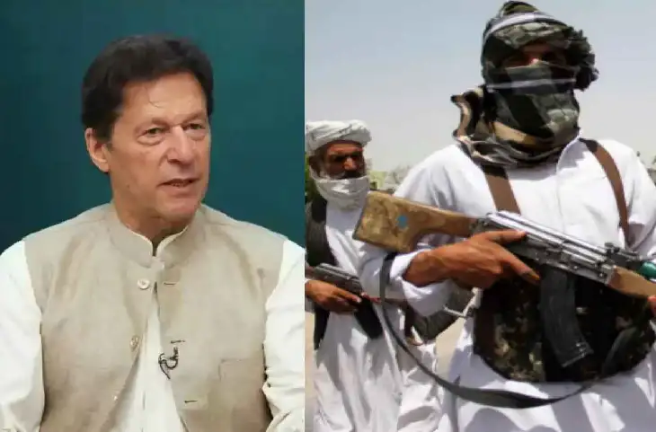 Imran Khan की फौज को अफगानिस्तान ने खदेड़ा, Taliban ने कहा- एक भी पाकिस्तानी अंदर न आने पाए… बंद कर दो सीमा