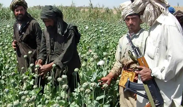 Afghanistan में तालिबान चोरी-छुपे कर रहा ये काम- देख कर दुनिया हुई हैरान