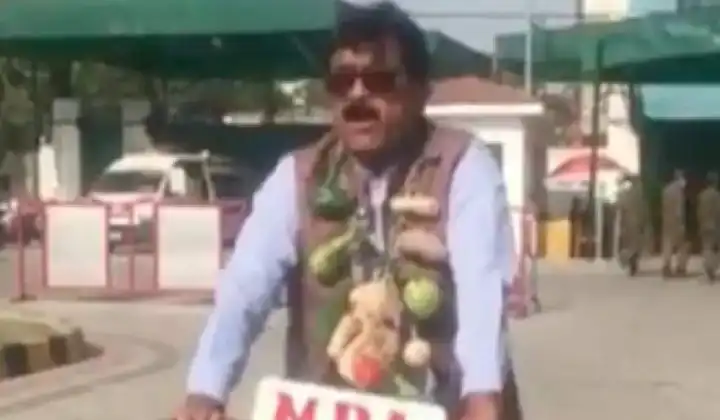 इमरान खान की फिर दुनिया के सामने घनघोर बेइज्जती- सब्जियों की माला पहन साइकिल से विधानसभा पहुंचा Pak विधायक