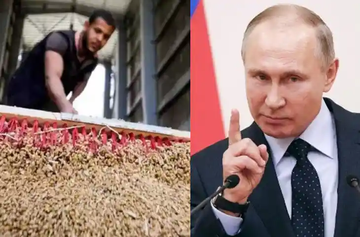 रूस ने यूक्रेन पर फोड़ा अनाज बम,Putin के फैसले से बढ़ी टेंशन,दुनिया में आएगा रोटी का संकट
