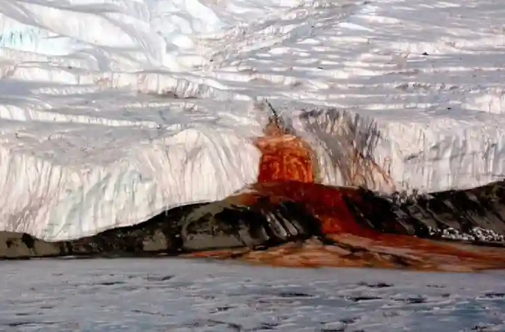 ये कुदरत का चमत्कार नहीं तो क्या है? वैज्ञानिकों ने खोजा खून का बहता Glacier-छूटे पसीने