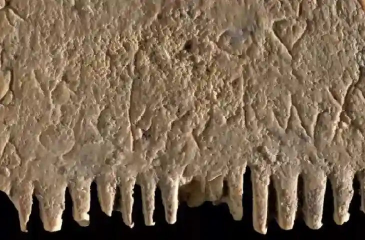 Israel में हजारों साल पुरानी कंघी मिलने से हड़कंप,सामने आया चौंकाने वाला रहस्य