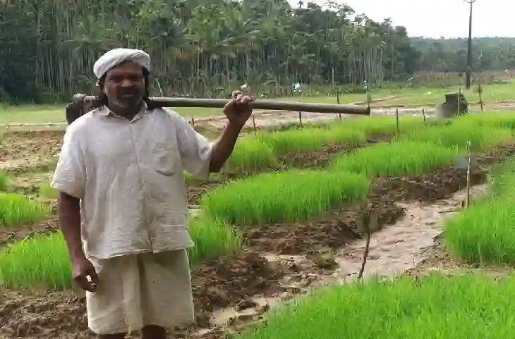 Kerala के ये आदिवासी, नहीं होते तो इतिहास बन जाती चावल की ये 54 बेशकीमती किस्‍में