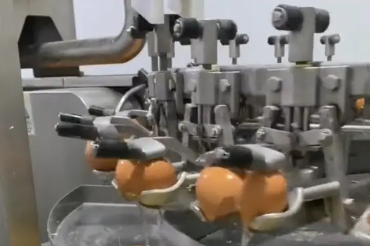 देखें: एक मशीन ऐसी,जो तोड़ती है अंडे और ज़र्दी-सफ़ेद को कर देती है अलग