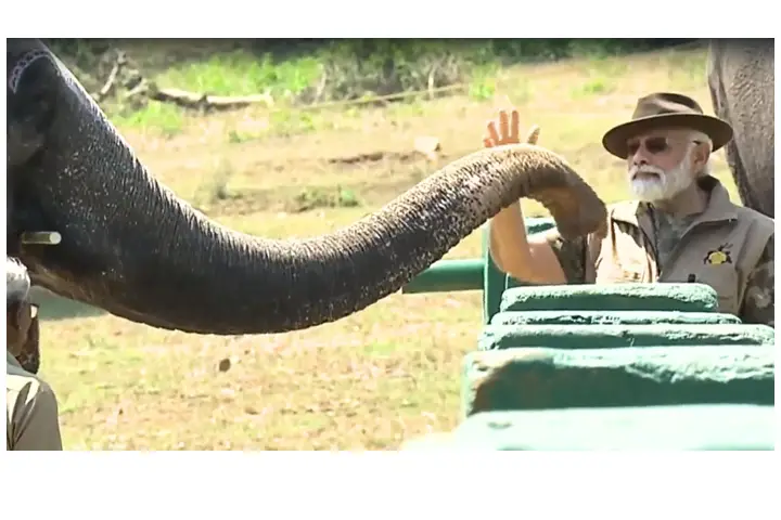 देखें: पीएम मोदी ने तमिलनाडु के थेप्पाकडू कैंप में हाथी को खाना खिलाया