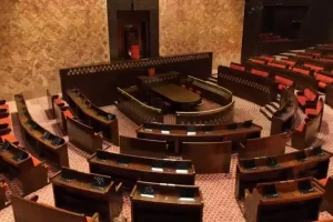 नये संसद भवन में Carpet: यूपी के 900 शिल्पकारों का अनूठा जादू