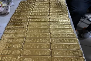 आंध्र के तिरुपति में 2.5 करोड़ रुपये की सोने की छड़ें ज़ब्त  