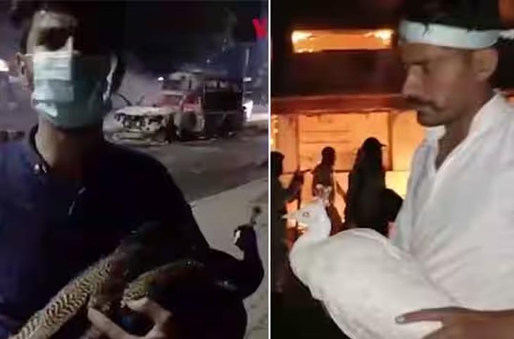 Khan की गिरफ्तारी के बाद समर्थकों ने मचाया तांडव! कमांडर के घर से चुराए मोर, देखें VIDEO