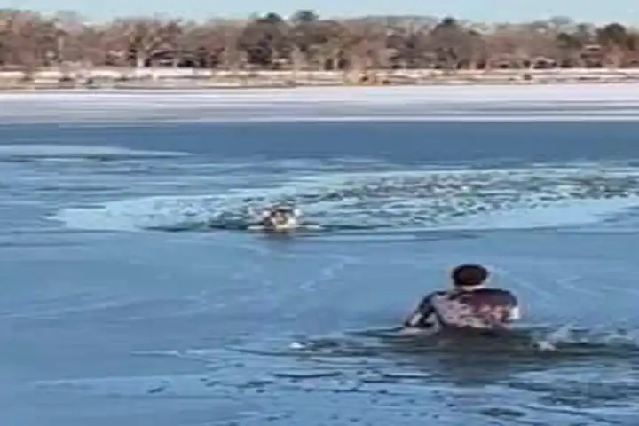 Viral Video: आधी जमी झील में फंसे कुत्ते को बचाने के लिए एक शख़्स ने लगायी छलांग