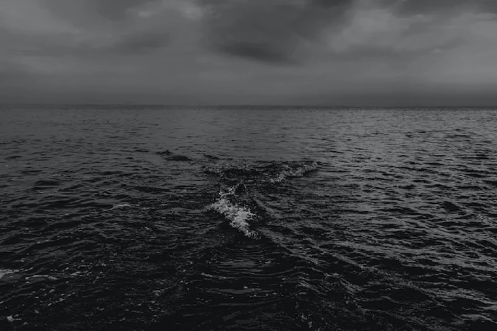 Black Sea का पानी बन गया ज़हरीला, “मौतों के तांडव” ने मचाया दुनिया में हड़कंप
