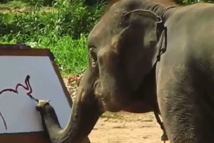 Viral Video: चित्रकार बना हाथी, सूंड से बना दी यह पेंटिंग, वीडियो देखकर आंखों पर नहीं होगा विश्वास