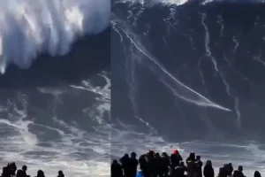 Video: OMG! समुन्दर में ऊँची लहरों पर करी व्यक्ति ने ऐसे सर्फिंग, स्टंट देख कर रह जाएंगे दंग