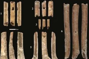 दुनिया की सबसे पुरानी बांसुरी मिलने से हड़कंप! 12000 साल पहले हड्ड‍ियों बनाई गई, वैज्ञानिक भी शॉक्ड