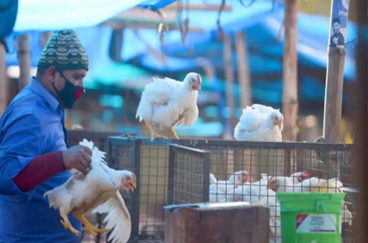 पापी पाकिस्तानियों पर भारी पड़ा ईद का त्योहार! बकरीद पर मीट खाना भी मयस्सर नहीं