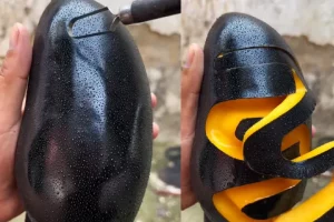 VIDEO: यह क्या! कोयले से भी काला आम, अंदर से उतना ही रसदार