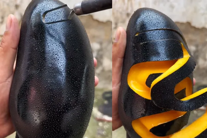 VIDEO: यह क्या! कोयले से भी काला आम, अंदर से उतना ही रसदार