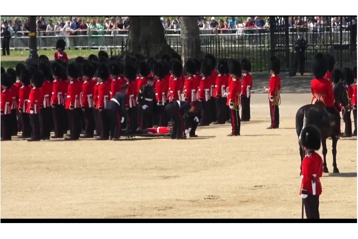 Viral Video: लंदन में भीषण गर्मी, शाही परेड के दौरान बेहोश हुए तीन ब्रितानी सैनिक