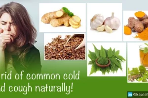 Cold & Cough Remedies: खांसी जुकाम होने पर कफ सिरप की जगह लें घरेलू रेमेडीज।