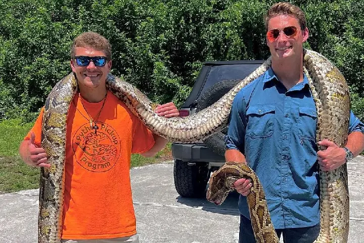 देखें Longest Python: 19 फुट का लंबा अजगर,साहसी छात्र ने धर दबोचा