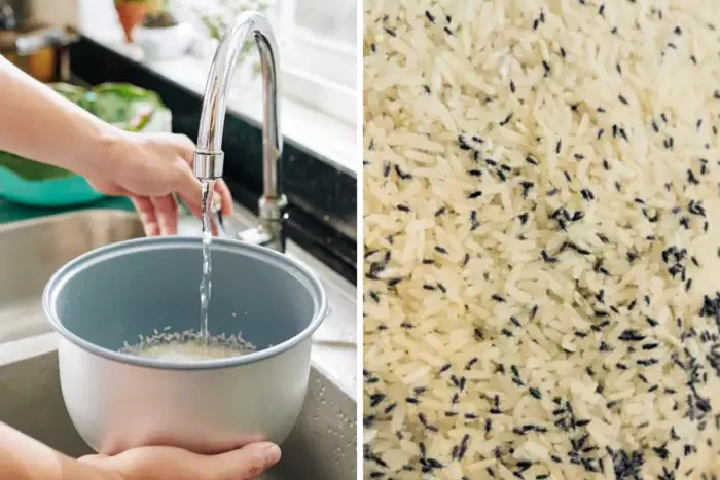 Kitchen Hacks: इन आसान तरीक़ो से ऐसे निकालें चावल में भरे कीड़े और कंकड़, फॉलो करें ये आसान टिप्स