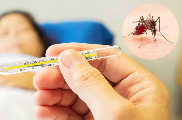 Dengue Fever: गर्म या सर्द, जाने किस तापमान में सबसे ज्यादा खतरनाक हो जाता है डेंगू वायरस