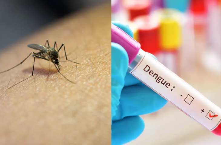 Dengue: डेंगू के ये खतरनाक लक्षण बन सकते हैं मौत का कारण, भूलकर भी न करें इग्नोर
