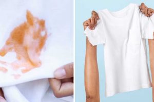 Cleaning Tips: सफेद कपड़ों से पीलापन अब चुटकियों में होगा गायब! बस एक बार जान लें ये जरूरी की ट्रिक