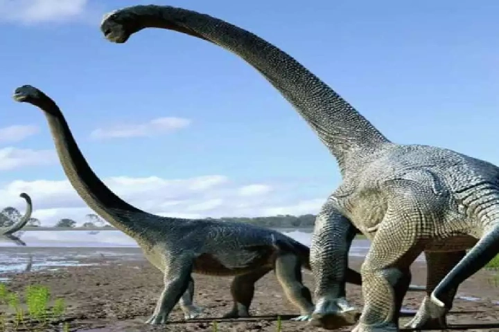 दुनिया में पहली बार वैज्ञानिकों को मिला अनोखे डायनासोर का जीवाश्म, 12 करोड़ साल पहले करता था राज